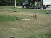 offroad-buggy2007race 32
